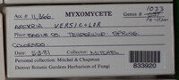 Image Associated With the Occurence